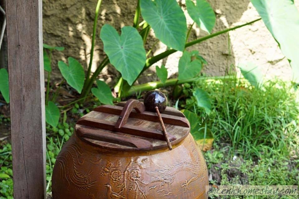 Mekong Rustic Can Tho – The Best beautiful view homestay in Mekong Delta Vietnam