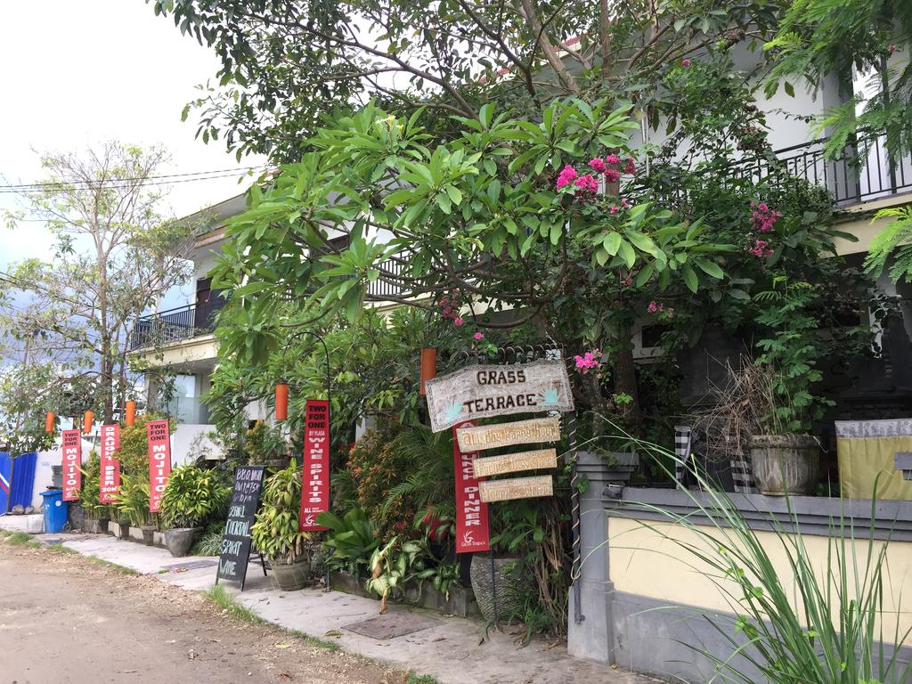 Grass Terrace Homestay, Canggu, Bali, Indonesia