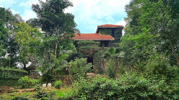 Jungle House Bắc Ninh