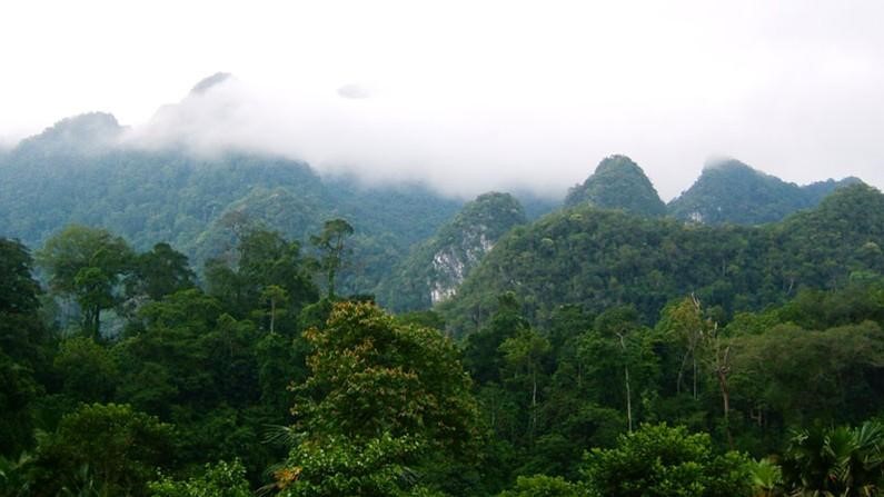 Ngắm trọn vẹn quang cảnh núi rừng tự Lâm homestay