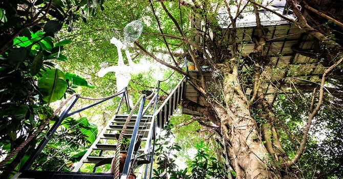 Tree House homestay Hà Nội