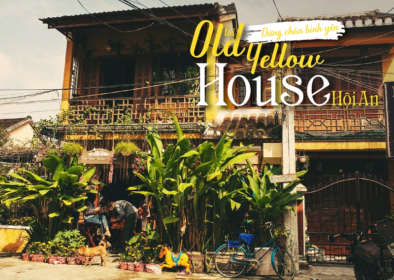 Old Yellow House Hội An