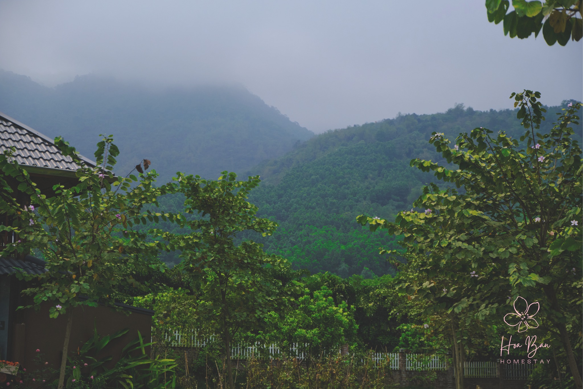 Giữa mây núi rừng tách biệt Hà Nội